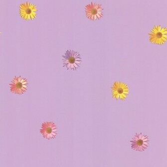 Ng63841 Pink Gerber Daisies Daisy Brewster Wallpaper