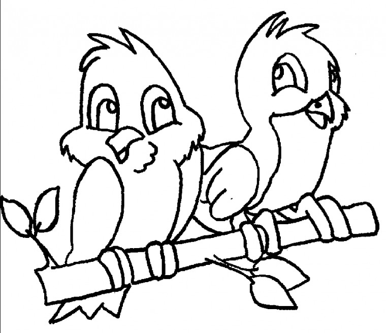 Bird Coloring S Kids Birds Printable Pictures