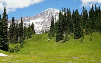 Alpine Grass Desktop Pc And Mac Wallpaper
