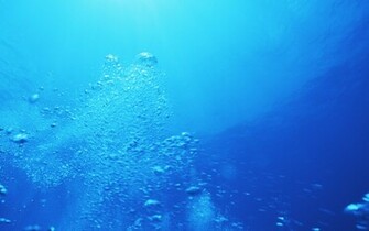 Aquamarine Color Of Sea Water In Hawaii Wallpaper HD