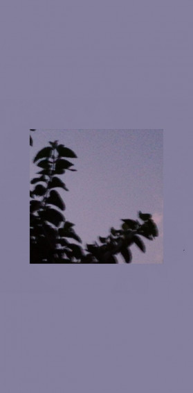 Placid Night Aesthetic Wallpaper