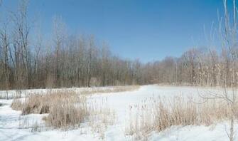 Winter Pond Scape Stock By Rustedscrapmetal