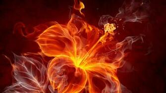 Fire Flower 3d Wallpaper Hq High
