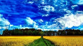 Related Pictures Background