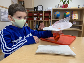 Vertebrates Invertebrates And Insects The Mcguffey Montessori