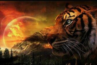 Full Wallpaper Amazing Wildlife Animal