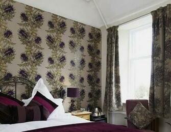 Taken To The Thistle National Flower Of Scotland And A Celtic
