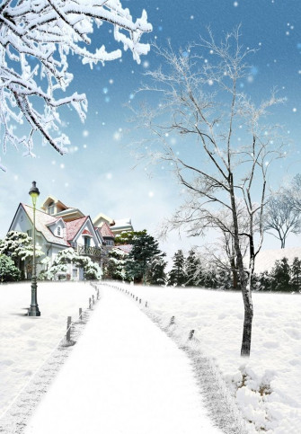 Landscape Trees Season Background Image Snow Winter