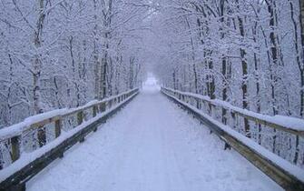 Winter Wonderland Pictures Wallpaper