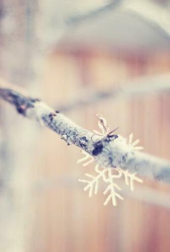 Winter iPhone Wallpaper