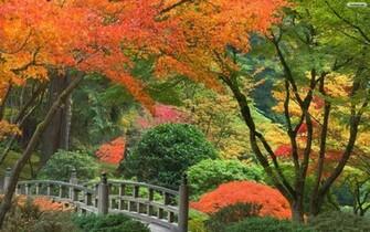 Japanese Garden Wallpaper