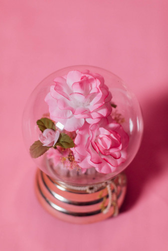 Top Pink Flowers Aesthetic Wallpaper Full HD 4k To Use