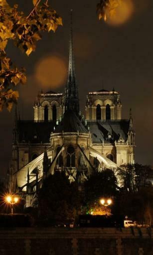 Bigger Notre Dame Live Wallpaper For Android Screenshot
