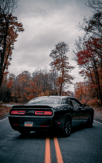Dodge Challenger Pictures Image