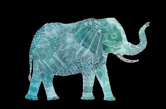 Elephant Pictures Image And Photos