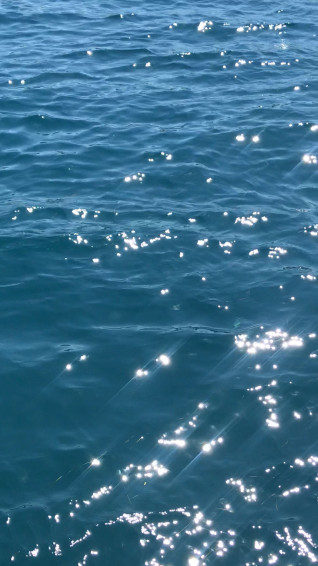 Aesthetic Nature Videos Calm In Wallpaper