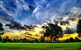 Spring Widescreen