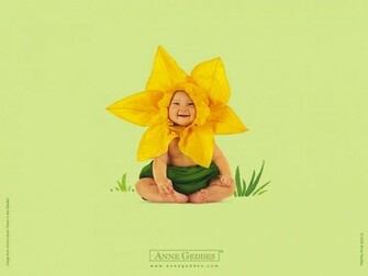 Annegeddes Wallpaper Jpg
