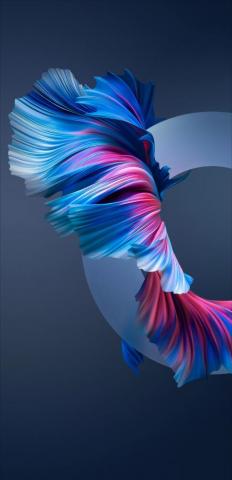 Huawei Mate Pro Plus Wallpaper Ytechb Exclusive QHD