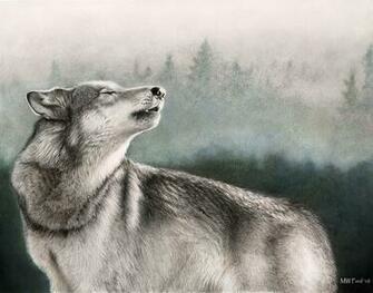 Wolf Wallpaper Theme With Background