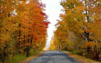Fall Wallpaper