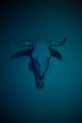 A Bull Skull Against Blue Sky Wallpaper
