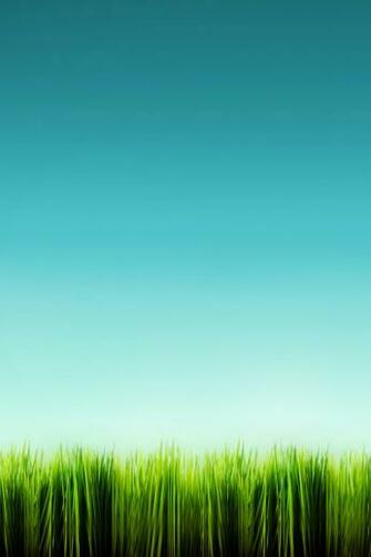 Blue Sky Green Grass iPhone Wallpaper