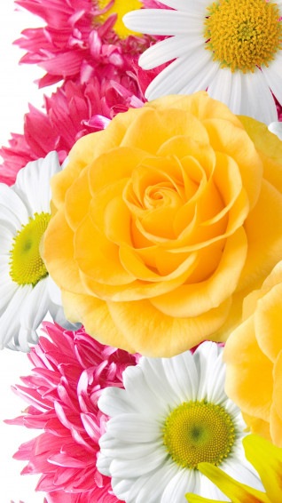 Mobile Wallpaper Flowers