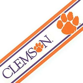 Ncaa Clemson University Tigers Accent Wallpaper Border Contemporary