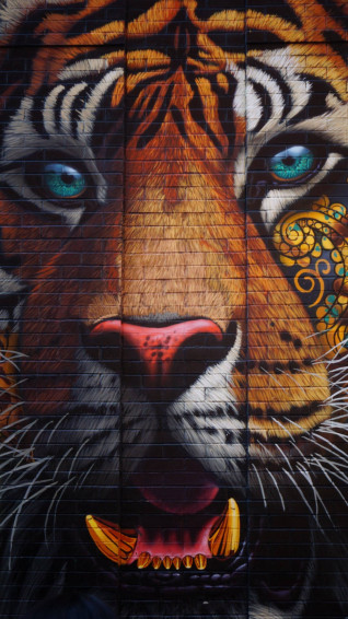 Graffiti iPhone Background Wallpaper