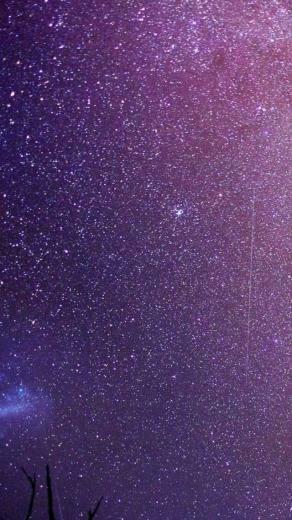 Milky Way Above The Trees iPhone 5s Wallpaper