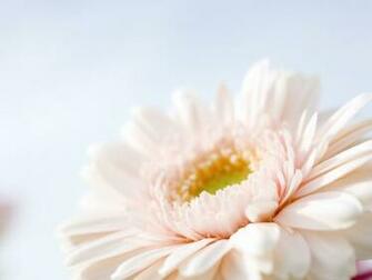 Exbii Message Beautiful Wallpaper HD Background Ex