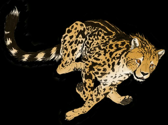 King Cheetahs Wallpaper Cheetah In Flight By