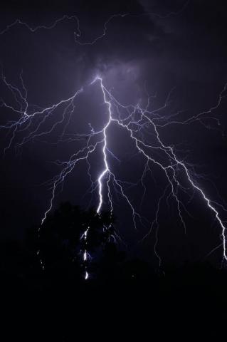 Lightning Image