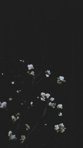 Take A Chill Pill With Mindful iPhone Wallpaper Preppy