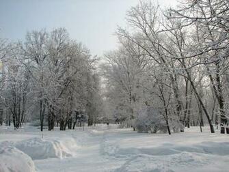 Pin Central Park Winter Night HD Wallpaper