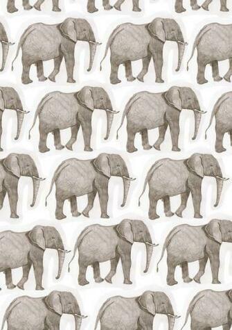 Go Back Gallery For Elephant Background