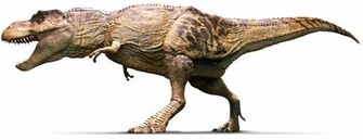 Wallpaper Tyrannosaurus