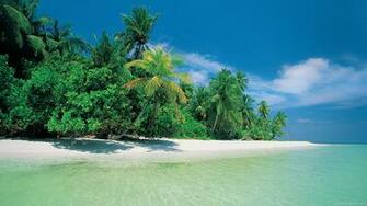 Tropical Paradise Art Prints Wall And Posters Murals Buy A