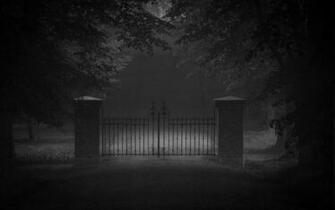 Nature Landscape Monochrome Dark Trees Door Road Grass