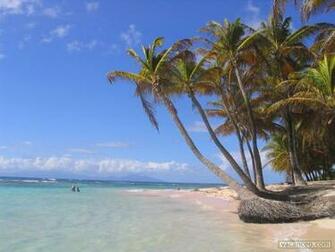 Fond D Cran Martinique Wallpaper Plage De La Feuill Re J Adore
