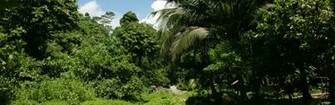 HD Wallpaper 1080p Widescreen Nature