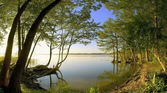 HD Wallpaper Nature With Love Taste