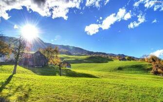 Youwall Sunny Farm Wallpaper