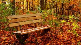 Full Size Nature HD Wallpaper