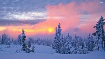 Cold Winter Morning Wallpaper