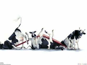Vacas Engra Adas Vetor