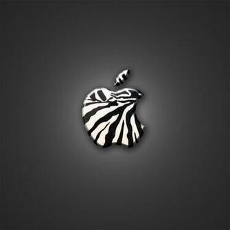 iPad Wallpaper Zebra By Laggydogg Customization Mac Pc Os