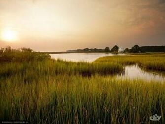 Chesapeake Bay Wallpaper