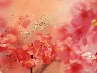 Flower Art Red Prism Daffodil Screensaver Screensavers